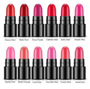 Chic Palette: Bio Aqua Mini Lipstick Set - 12 Colors